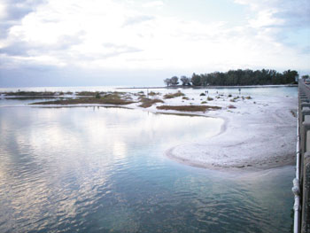 Anna Maria Island Sun News Story