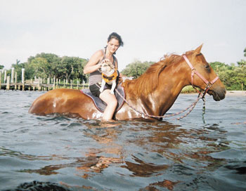 Anna Maria Island Sun News Story