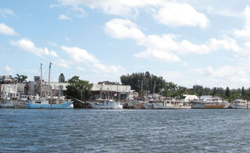 Anna Maria Island Sun News Story