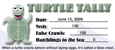 Sea Turtle Nest Tally