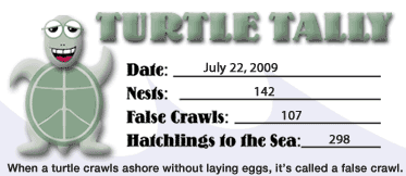 Sea Turtle Nest Tally