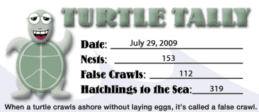 Sea Turtle Nest Tally