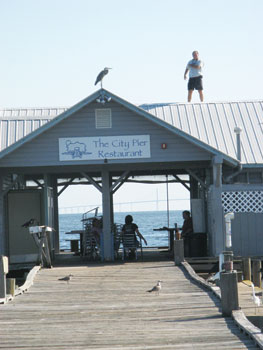 Anna Maria Island Sun News Story