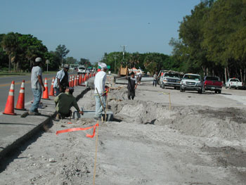 Anna Maria Island Sun News Story