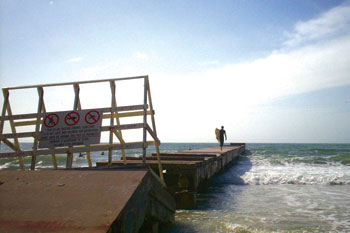 Anna Maria Island Sun News Story