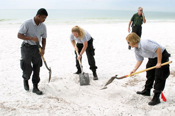 Anna Maria Island Sun News Story