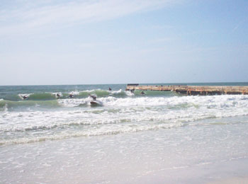 Anna Maria Island Sun News Story