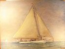 Anna Maria Island Sun News Story