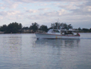 Anna Maria Island Sun News Story