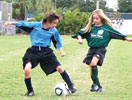 Anna Maria Island Sun News Story