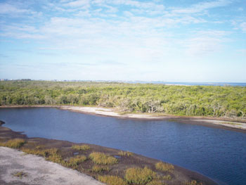 Anna Maria Island Sun News Story