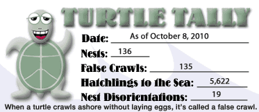 Turtle Tom