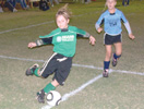 Anna Maria Island Sun News Story