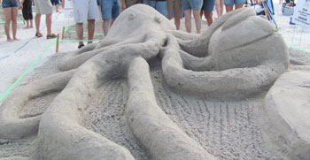 Anna Maria Island Sun News Story
