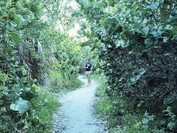 Anna Maria Island Sun News Story