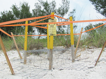 Anna Maria Island Sun News Story