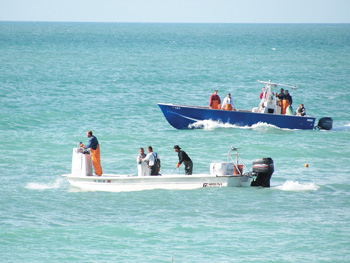 Anna Maria Island Sun News Story