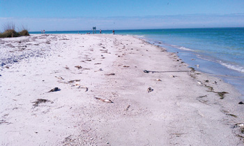 Anna Maria Island Sun News Story