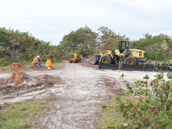 Anna Maria Island Sun News Story