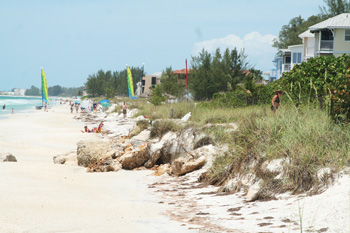 Anna Maria Island Sun News Story