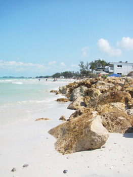 Anna Maria Island Sun News Story