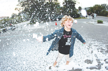 Anna Maria Island Sun News Story