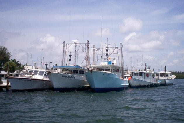 Cortez fleet at A.P. Bell Fish Co.