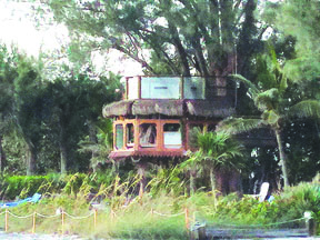 Tree house at Angelinos