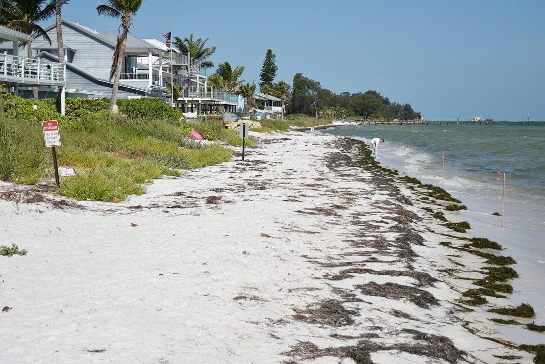 Mean highwater line surveyed AMI Sun