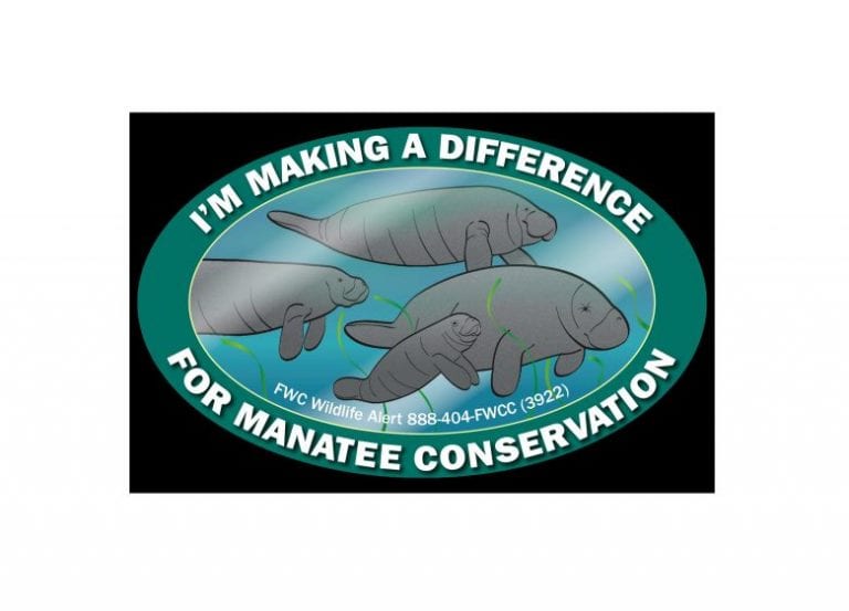 New manatee, turtle decals out