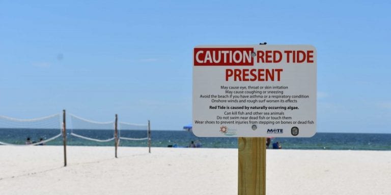 Weekend red tide forecast low on Island