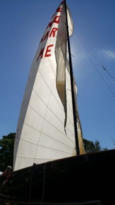 Cortez flea 1024 sailboat