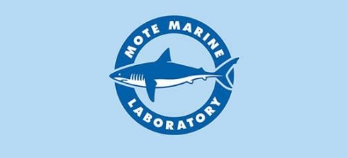 Mote’s Red Tide Institute welcomes Heil