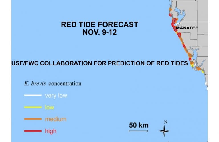Red tide forecast remains high