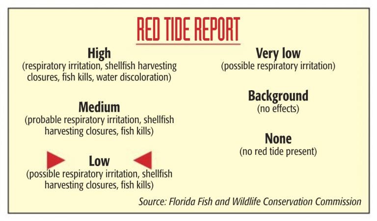 Red tide returns in low concentrations