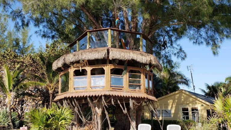 Tree house case back in court
