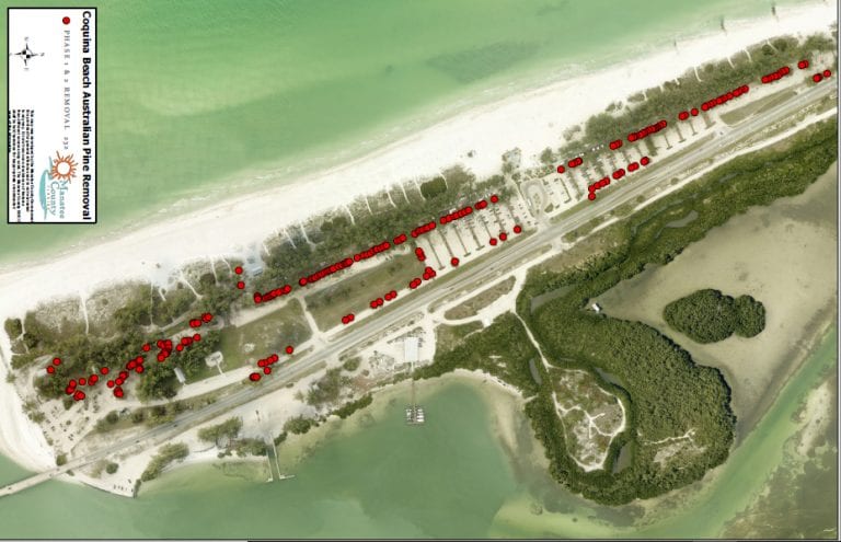 County submits Coquina Beach tree replacement plan
