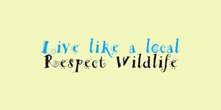 Live Like a Local – Respect Wildlife