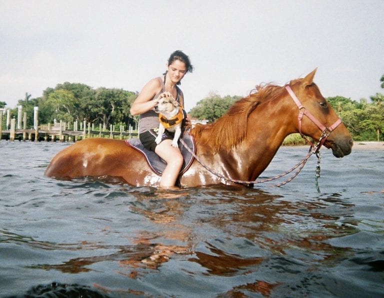 Pinellas County bans water horses