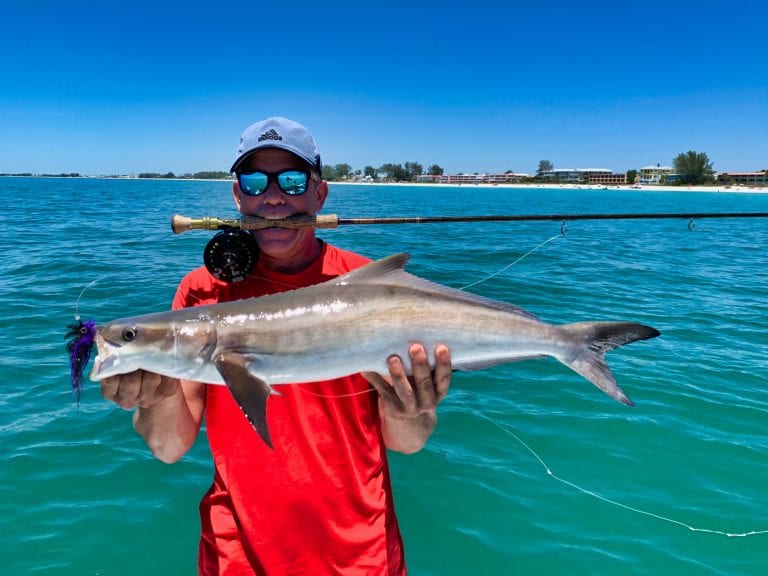 Reel Time: The cobia