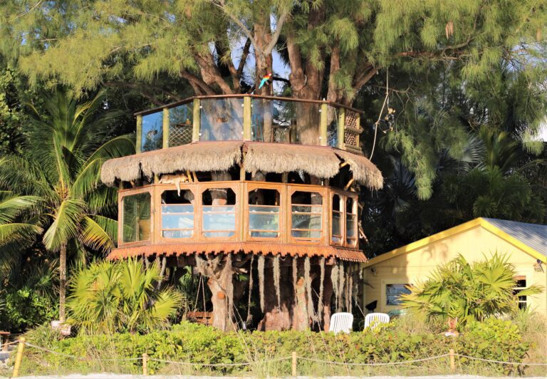 Treehouse owners clash with city over VRC renewals