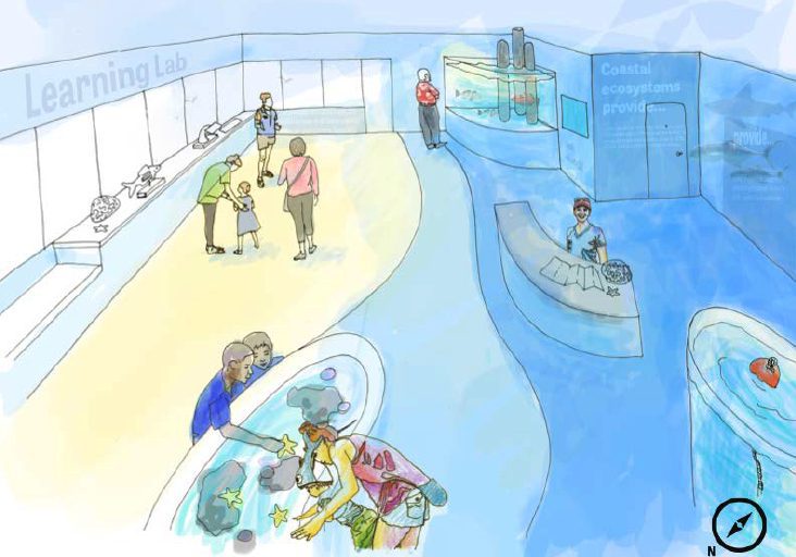 Mote Marine proposes City Pier education and outreach center