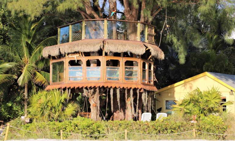 Treehouse owners get no relief from special magistrate
