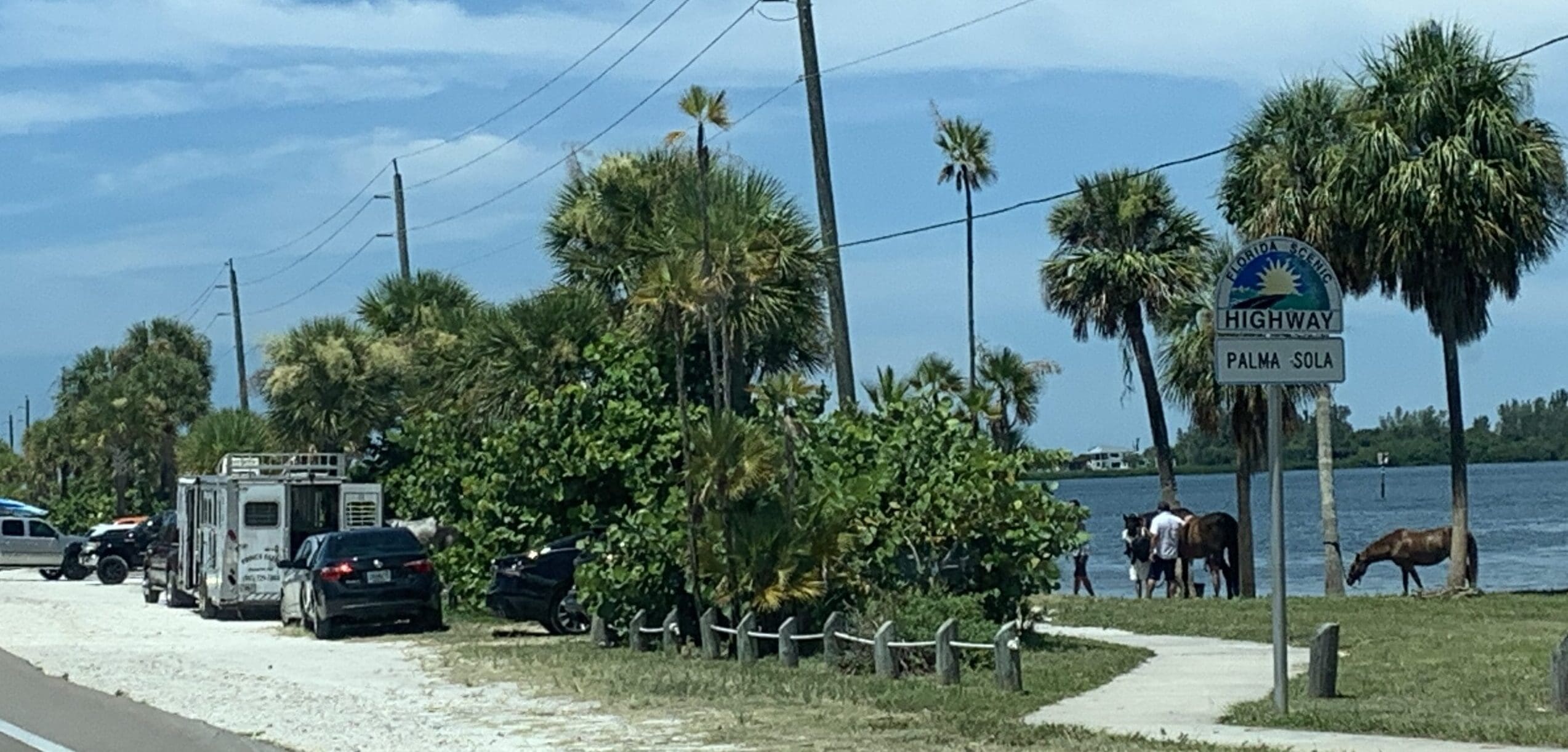 Horses gallop onto CME agenda