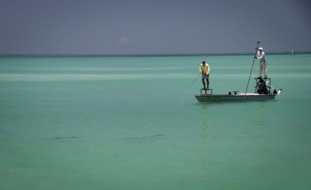 Reel Time: Tarpon time