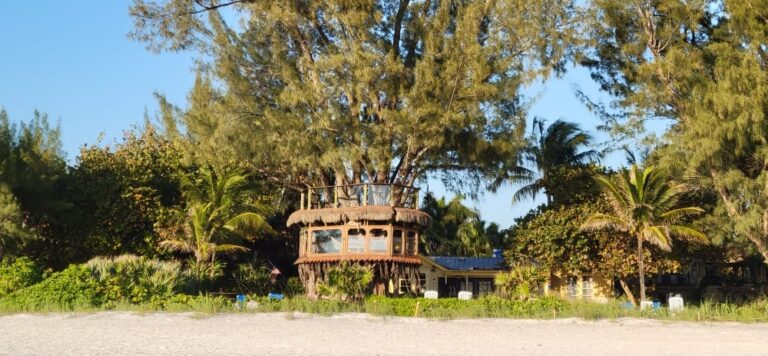 More fines added to treehouse owners’ tab with Holmes Beach
