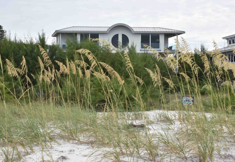 Beachfront homeowners launch Preserve AMI campaign