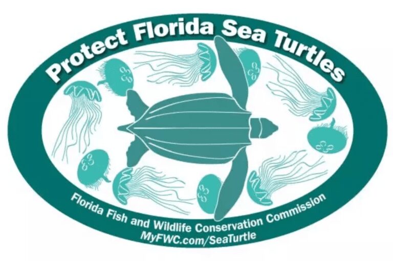 Support manatees, turtles with decals 