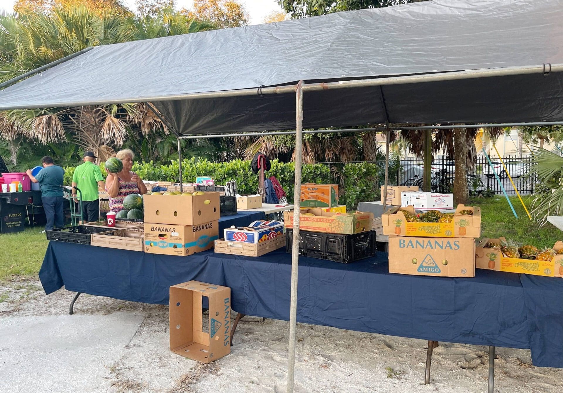 Discover the Enchanting Anna Maria Island Farmers Market | Paraiso Island
