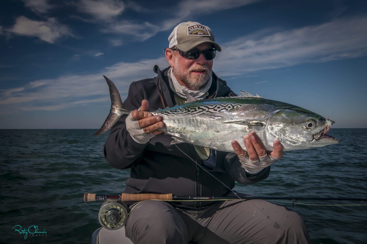 Reel Time: Little tunny time?